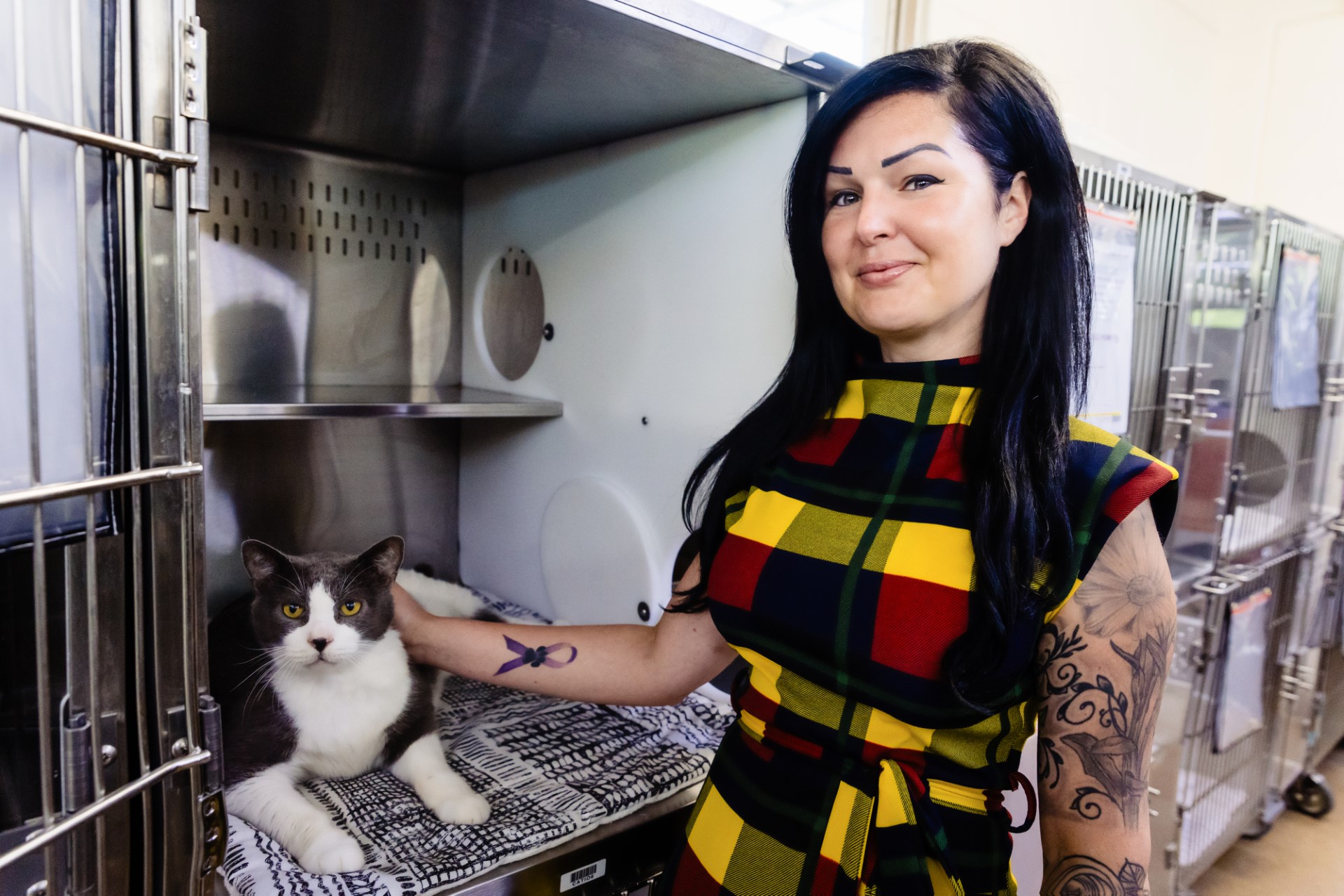 Owner of Feline Logic caring for cat in kennels